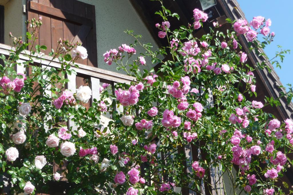 Maison D'Hotes Les Coquelicots Giverny Phòng bức ảnh