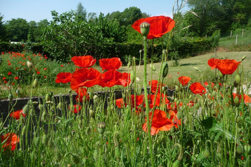 Maison D'Hotes Les Coquelicots Giverny Ngoại thất bức ảnh