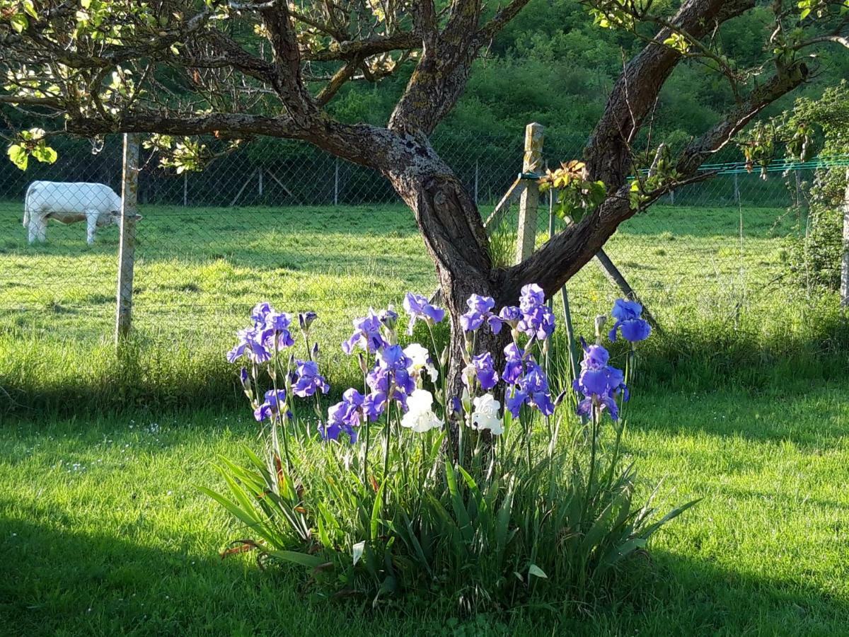 Maison D'Hotes Les Coquelicots Giverny Ngoại thất bức ảnh